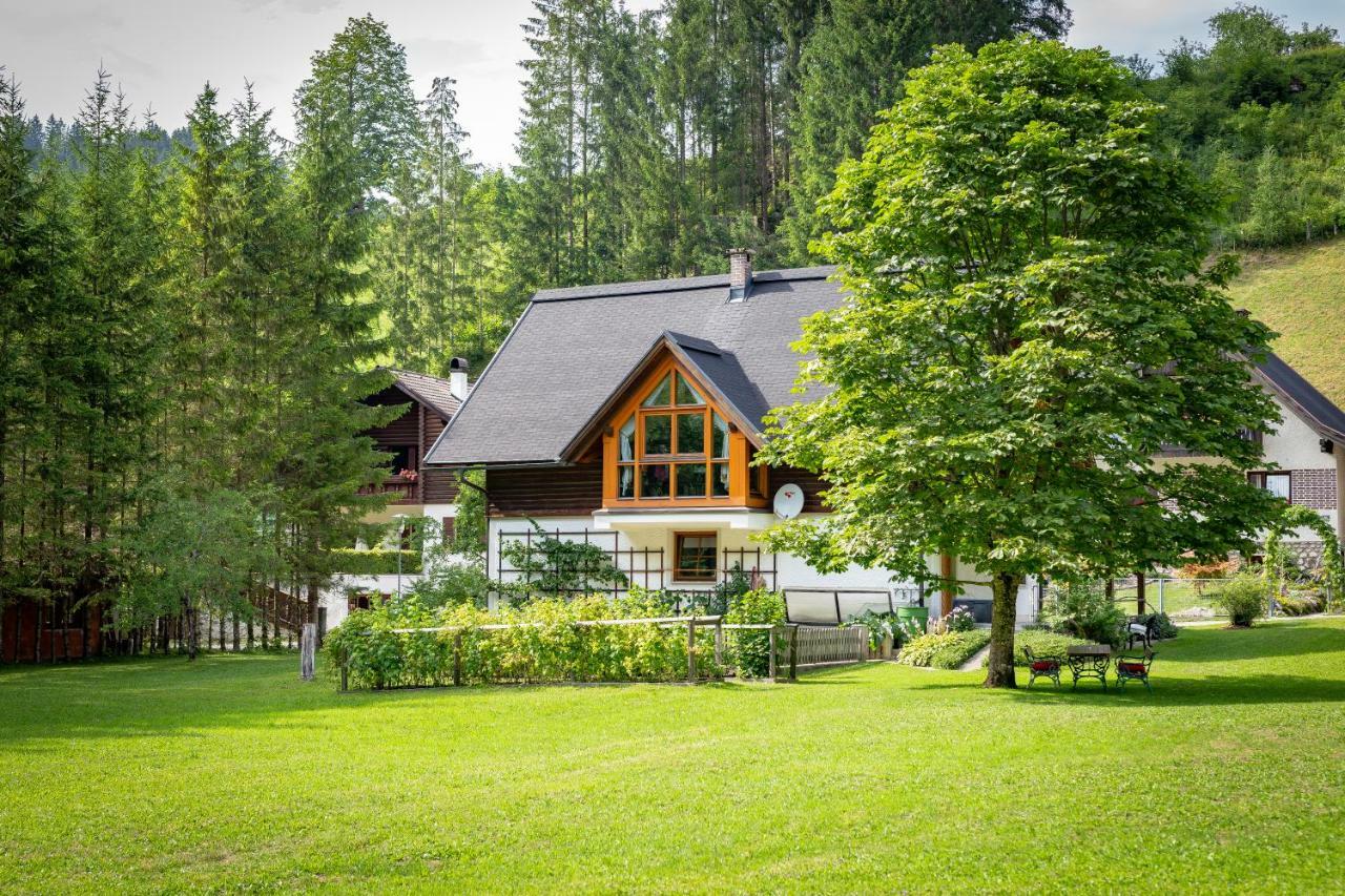Ferienhaus Goestling Villa Göstling an der Ybbs Dış mekan fotoğraf